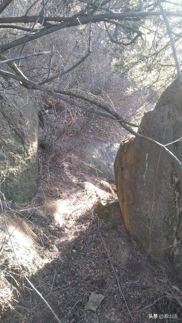 冬至驢行泰山之黃石崖，老平臺，映霞峰，桃花峪東西穿越