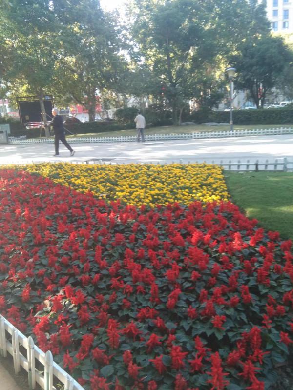 雲龍湖公園一日遊