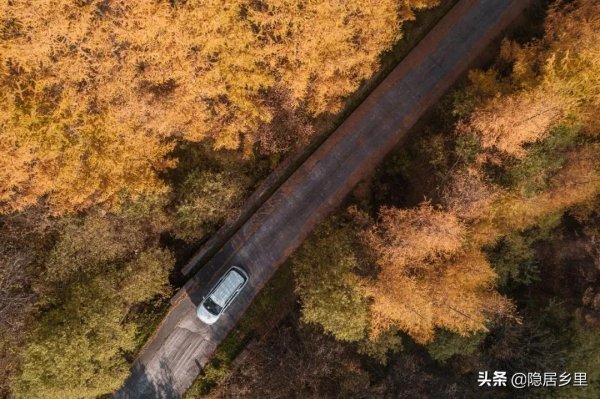 秦嶺紅葉房開售 | 一座座山間小屋，藏著秦嶺最美的秋