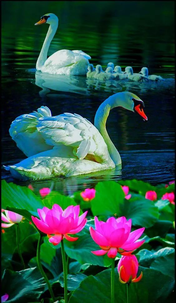 微型小說：認錯人