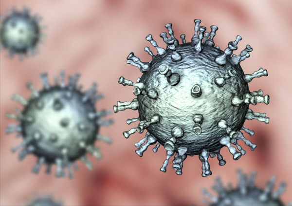 可怕的動物瘟疫：十年間格里芬兀鷲滅絕，候鳥帶來病毒致7人死亡