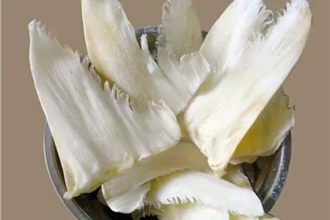 吃魚促進大腦發育讓孩子更聰明？但這5種魚，一口都別給寶寶吃