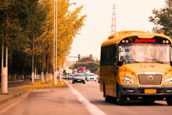 快來打卡！閔行這條路已披上“黃金甲”