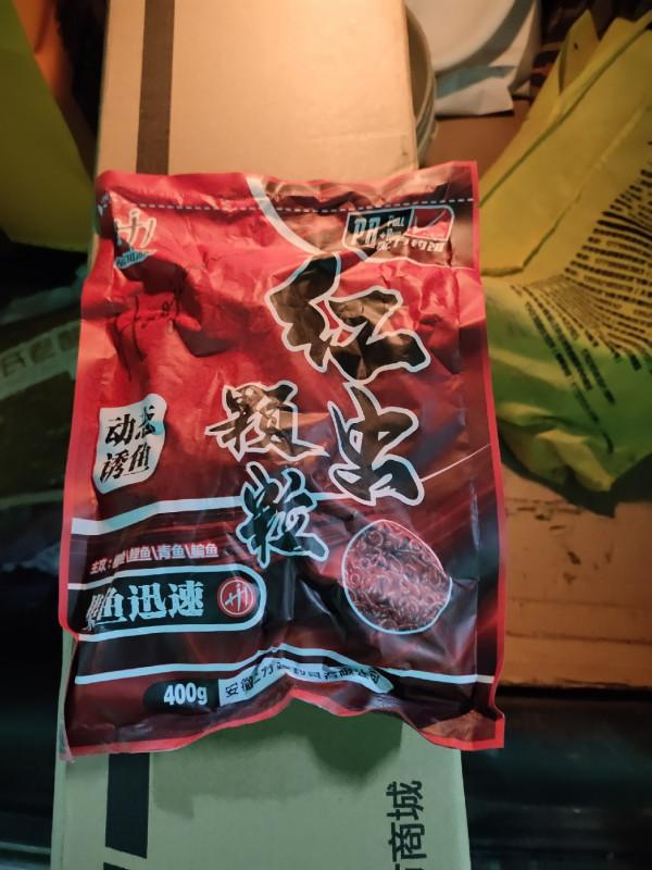 兩次隔夜窩依然空軍，是真的沒有魚？