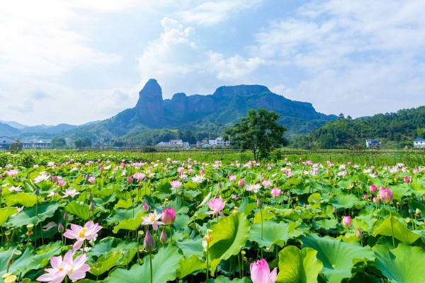 江西十大冷門景點，人少景美好玩