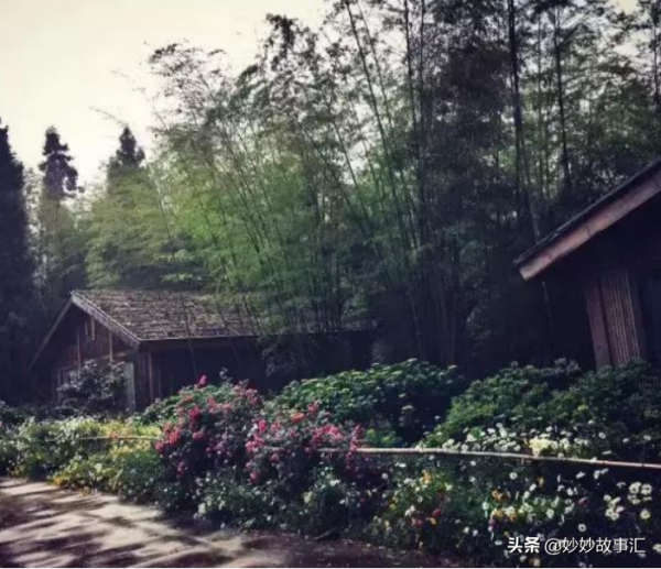 民間故事:獵人上山打獵,遭母猴攔路,下山時抱著一對兒女 民間故事:獵人上山打獵,遭母猴攔路,下山時抱著一對兒女