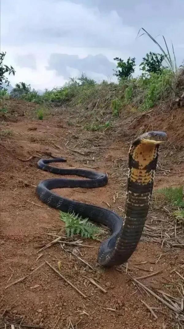 釣魚真的很像探險，致命因素很多，防不勝防