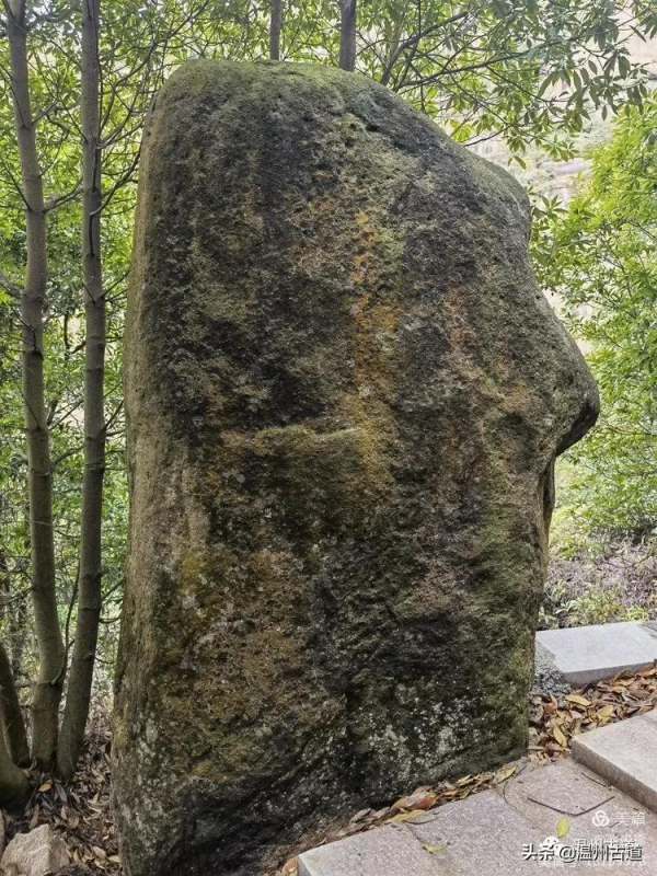 大羅山有處“二師兄”奇石，惟妙惟肖，你可找到過？