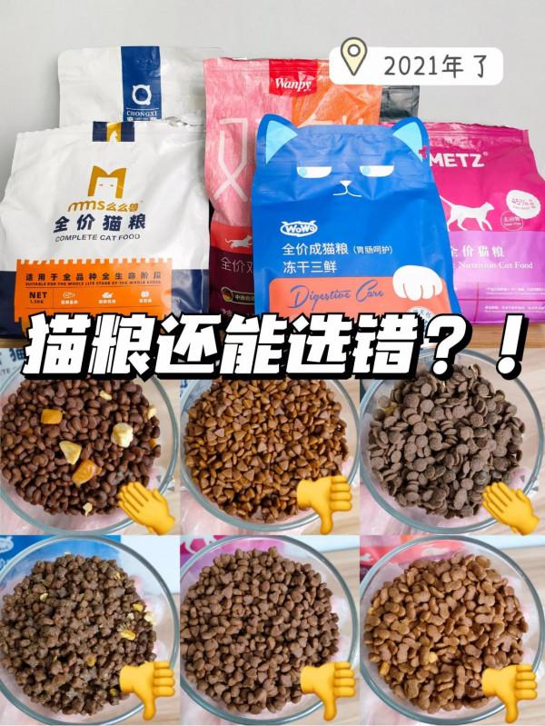 貓糧還能選錯！看這篇就懂了