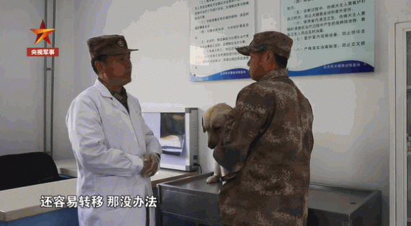 英雄離去，功勳軍犬患癌即將離世，鐵骨軍人懷抱愛犬痛哭流淚