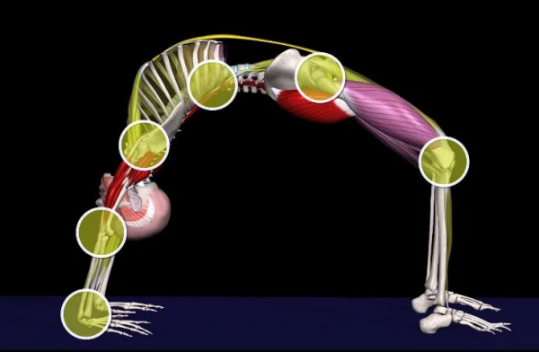 如何做一個漂亮的輪式?掌握這些要點,其實不難 如何做一個漂亮的輪式?掌握這些要點,其實不難