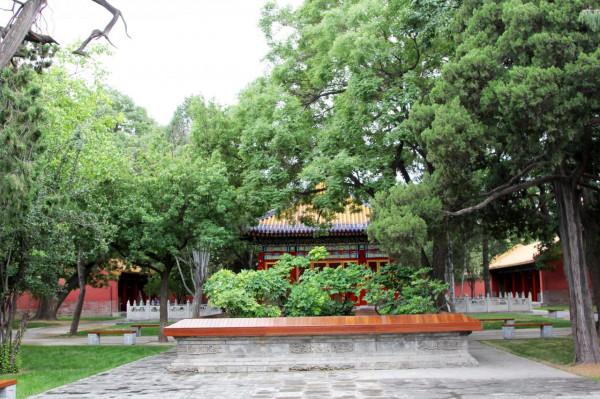 故宮慈寧宮區全紀錄