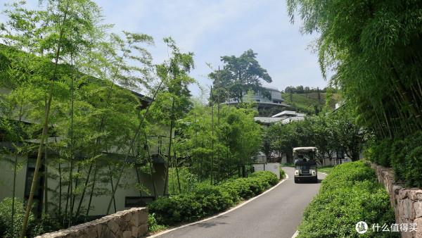 人生只合住湖州!景美,好吃,消費低!記3天2晚慢生活之旅 人生只合住湖州!景美,好吃,消費低!記3天2晚慢生活之旅