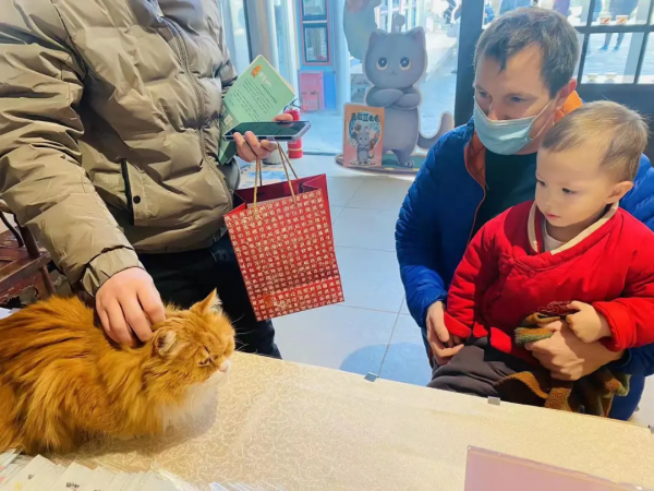 小貓咪都是怎樣&OpenCurlyDoubleQuote;爭寵&rdquo;的？