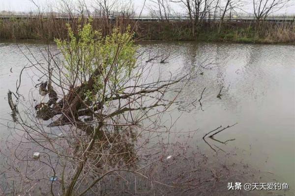 冬季釣野河,不是每段都有魚,要找這4種位置,鯽魚基本躲在這裡 冬季釣野河,不是每段都有魚,要找這4種位置,鯽魚基本躲在這裡