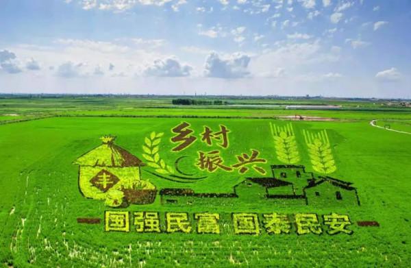 這是山東,東營! 這是山東,東營!