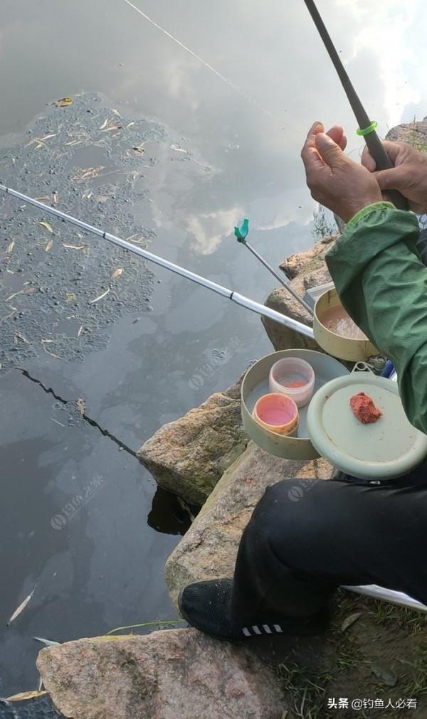 向高齡釣友請教的“搖三搖”釣法，毫無保留的分享給大家