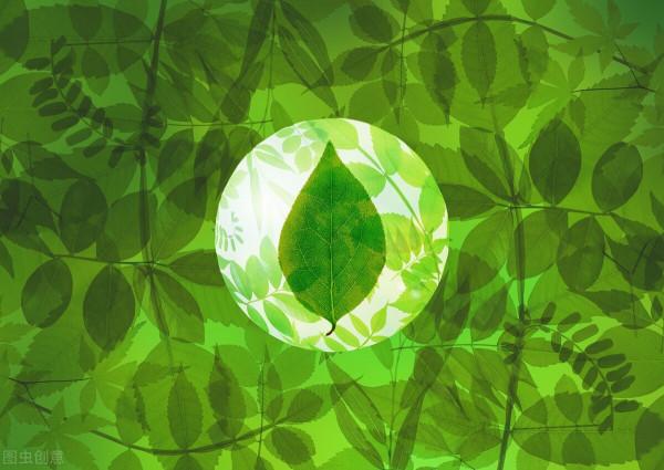 舍友輕生，我退租｜和中介溝通時，我發現，我所有的書都白讀了