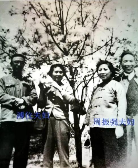 蔣介石出手打擊軍統，戴笠以退為進，終使中統遭殃