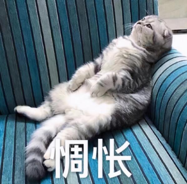 停課不停學，線下教學調整為線上學習，學生只是換個地方學習而已