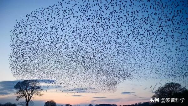 美國海陸空軍用機器人，科技與人類的較量，未來戰爭怎麼打？