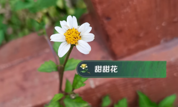 《原神》玩家“犯病”集錦,別去打那群鴿子啦!人均線下後遺症? 《原神》玩家“犯病”集錦,別去打那群鴿子啦!人均線下後遺症?