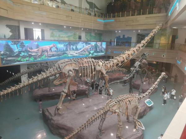 億萬年前的繁榮 億萬年前的繁榮