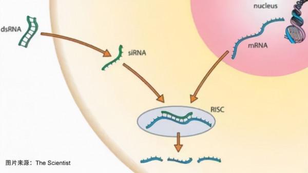 70歲大媽被診斷為“澱粉人”，家族中數人罹患，全球患者不超過5萬例