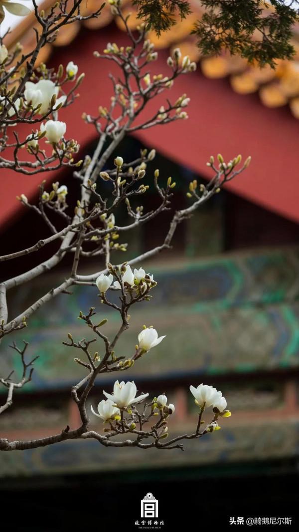 驚豔了時光，尋找故宮之美