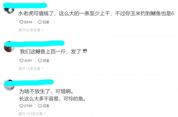 誤傷？湖北男子釣草魚卻意外釣起59斤水老虎，男子：溜得腿都軟了