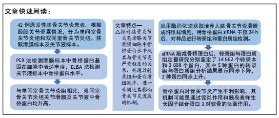 敲減骨橋蛋白的膝關節滑膜細胞轉錄組和蛋白質組定量分析