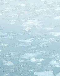 “冰上的轎子”你知道叫什麼嗎？