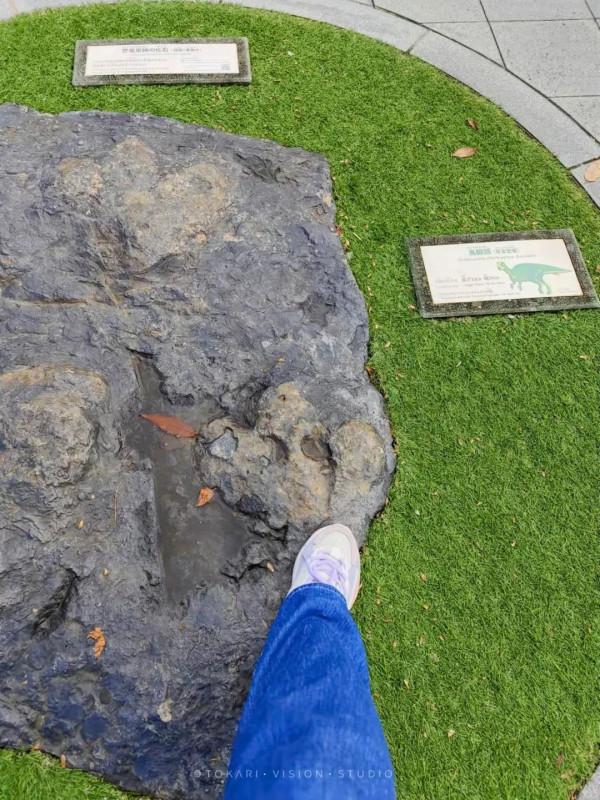 逛逛日本 &vert; 一券在手 遊走日本升龍道夢之旅