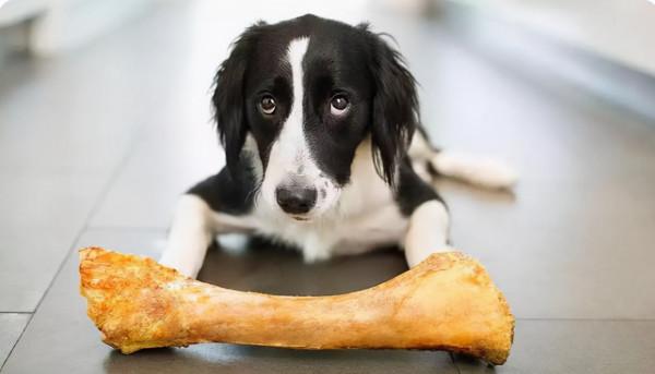 《星際牛仔》| 這些英文說法有點拽 《星際牛仔》| 這些英文說法有點拽