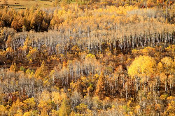 10月份欣賞秋色最值得去的10個地方 10月份欣賞秋色最值得去的10個地方