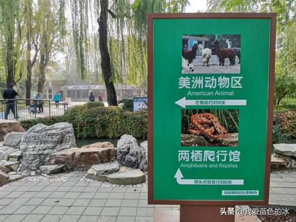 重遊北京動物園，覺得綠化美化比以前好了很多