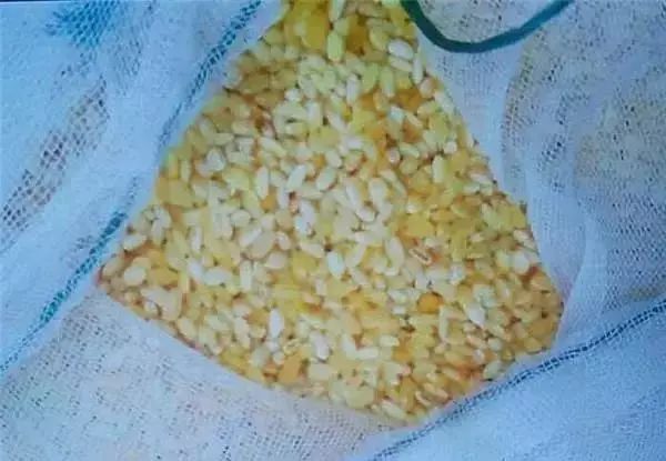 中科院院士:轉基因爭論 20年後看會是一場笑話 中科院院士:轉基因爭論 20年後看會是一場笑話