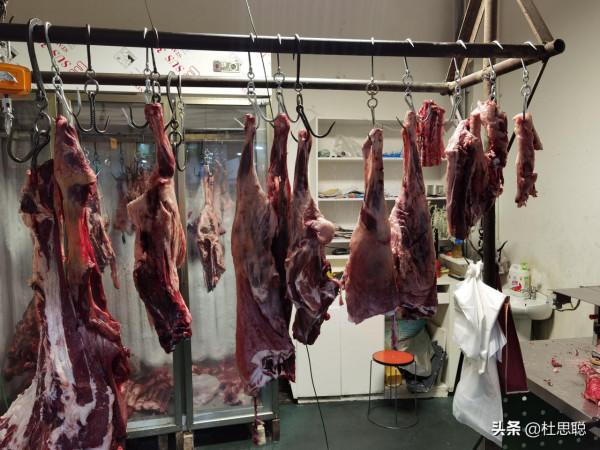 漢EV自駕新疆，第一次使用自動泊車，第一次自制烤串真香啊