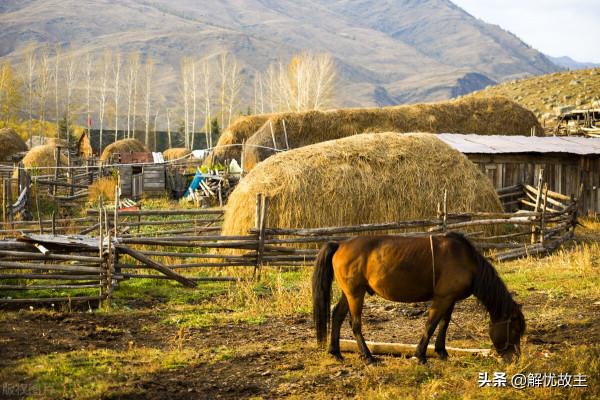 新疆離邊境最近的村莊,居住著不為人知的少數民族,風景很美 新疆離邊境最近的村莊,居住著不為人知的少數民族,風景很美