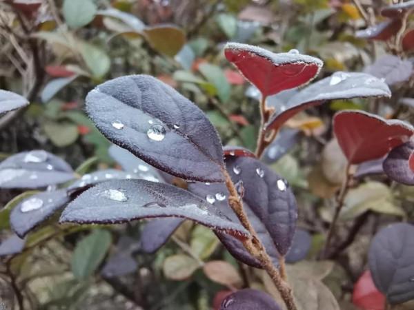 你,是不是我身邊的老蔡? 你,是不是我身邊的老蔡?