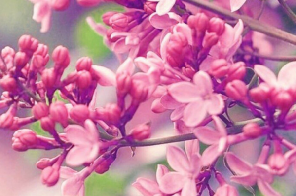 12月2日-12月12日，運勢逆襲，吉星高照，美好生活近在咫尺