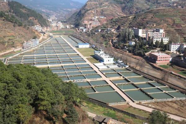 最美上村 文/左巧芝 圖/尹永權 最美上村 文/左巧芝 圖/尹永權