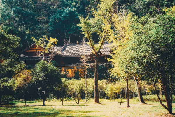 浙江青田的中國韻味
