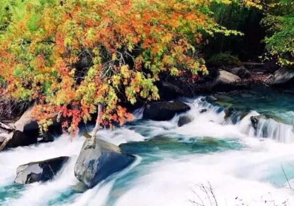 我國隱藏的“女兒國”，一個真正的世外桃源