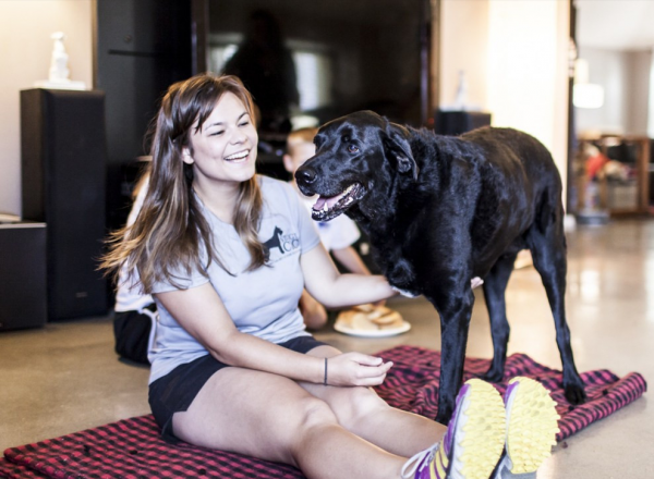 女生適合養什麼“大狗狗”？網友：看到很難不心動