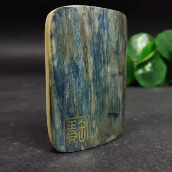 冰河時期的寶藏 冰河時期的寶藏