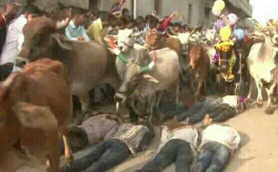 如果靠睡覺是搞不了音樂的