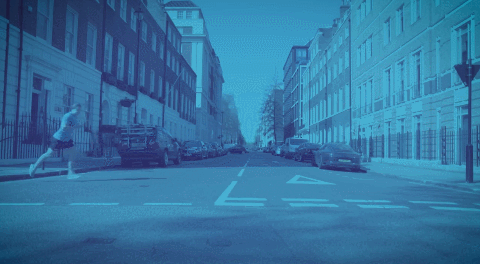 “惹不起”的鴨子，大學裡的網紅