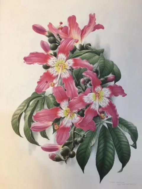 中國動植物畫第一人，曾孝濂極品工筆畫