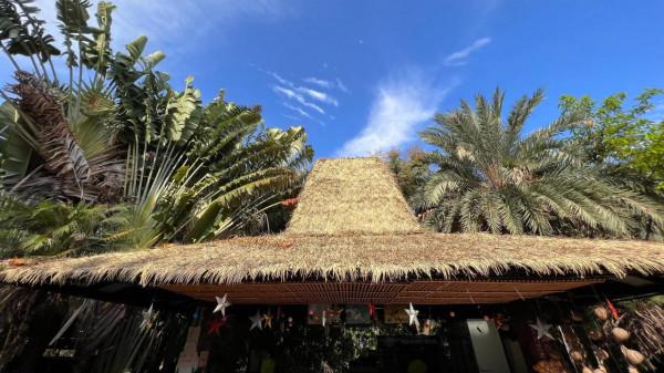 iPhone 13 Pro Max 攝像效果極好